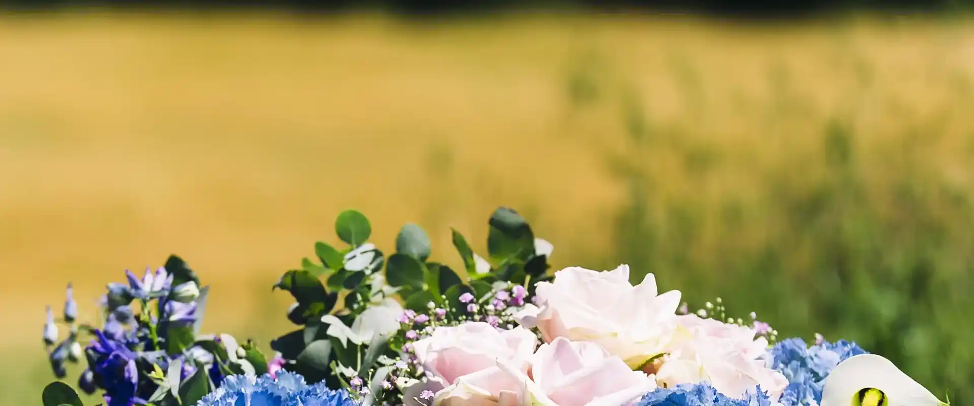 Image Slider